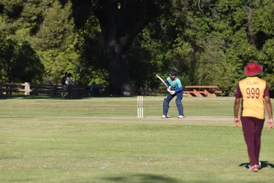 DSC_2341 (Large).JPG